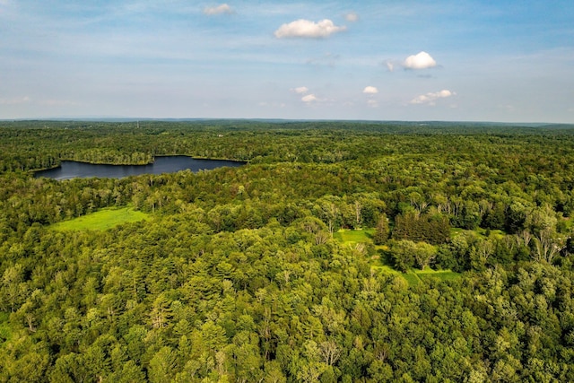 174 Dingle Daisy Rd, Monticello, NY 12701 - drone / aerial view of a heavily wooded area and a large body of water