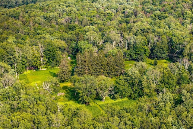 174 Dingle Daisy Rd, Monticello, NY 12701 - bird's eye view of a forest