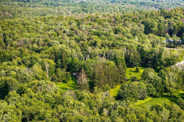 174 Dingle Daisy Rd, Monticello, NY 12701 - bird's eye view of a forest