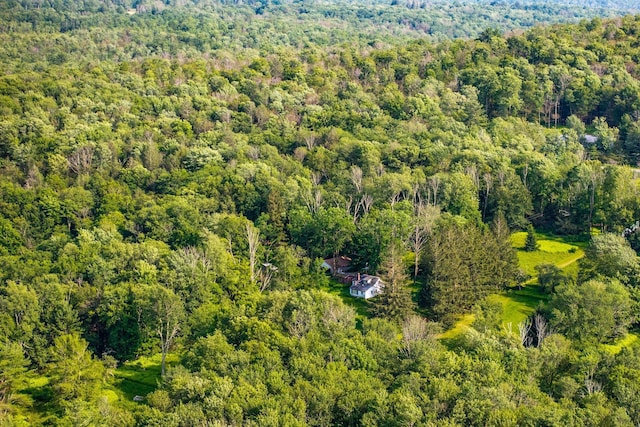 174 Dingle Daisy Rd, Monticello, NY 12701 - bird's eye view of a forest