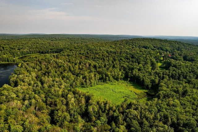174 Dingle Daisy Rd, Monticello, NY 12701 - aerial view of a heavily wooded area