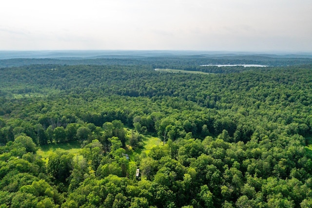 174 Dingle Daisy Rd, Monticello, NY 12701 - bird's eye view of a forest