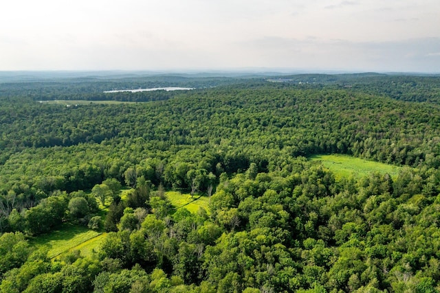 174 Dingle Daisy Rd, Monticello, NY 12701 - drone / aerial view of a heavily wooded area