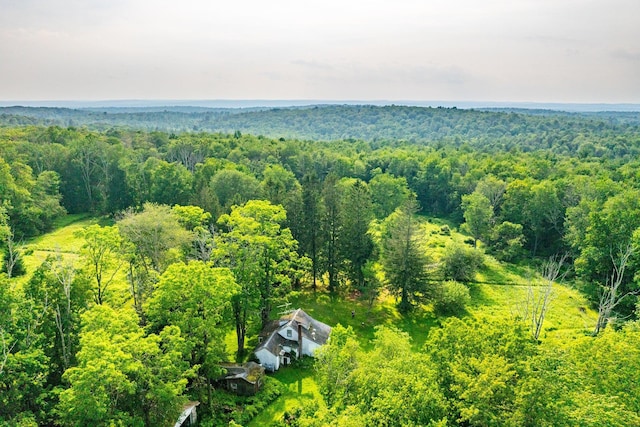 174 Dingle Daisy Rd, Monticello, NY 12701 - view of subject property featuring a heavily wooded area