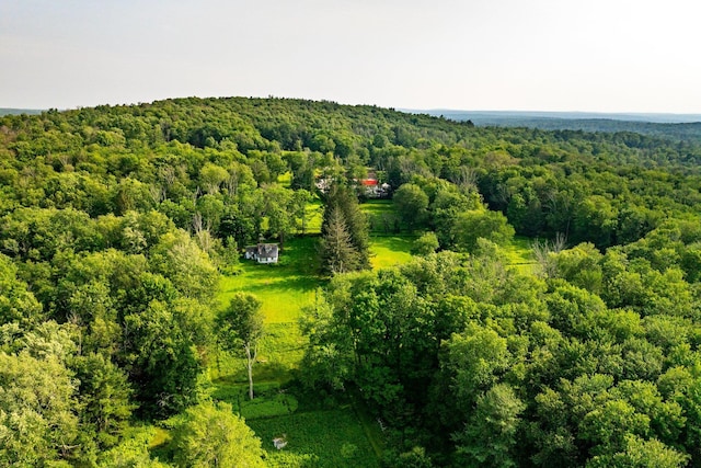 174 Dingle Daisy Rd, Monticello, NY 12701 - drone / aerial view of a heavily wooded area
