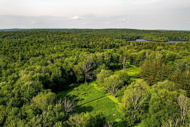 174 Dingle Daisy Rd, Monticello, NY 12701 - aerial view of a forest and a nearby body of water