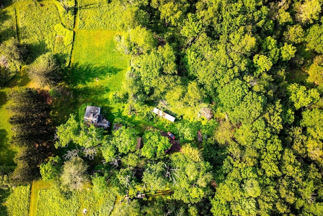 174 Dingle Daisy Rd, Monticello, NY 12701 - aerial view