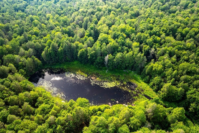 174 Dingle Daisy Rd, Monticello, NY 12701 - aerial view of a large body of water and a heavily wooded area