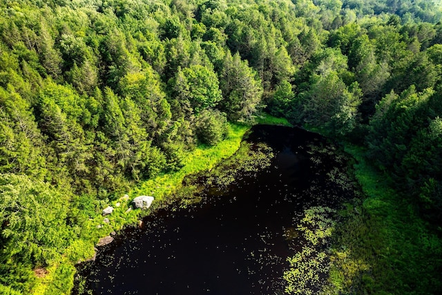 174 Dingle Daisy Rd, Monticello, NY 12701 - aerial view of a forest