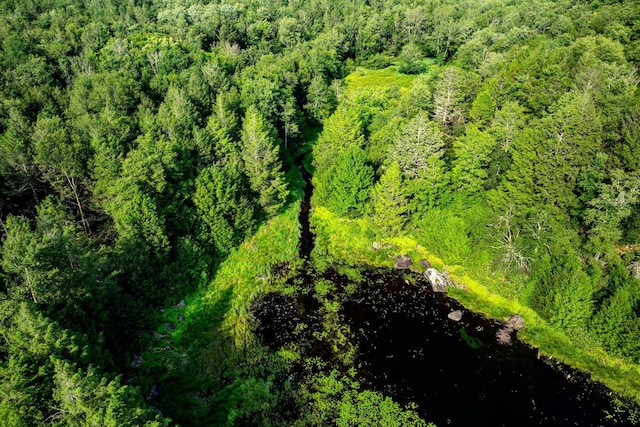 174 Dingle Daisy Rd, Monticello, NY 12701 - drone / aerial view of a forest