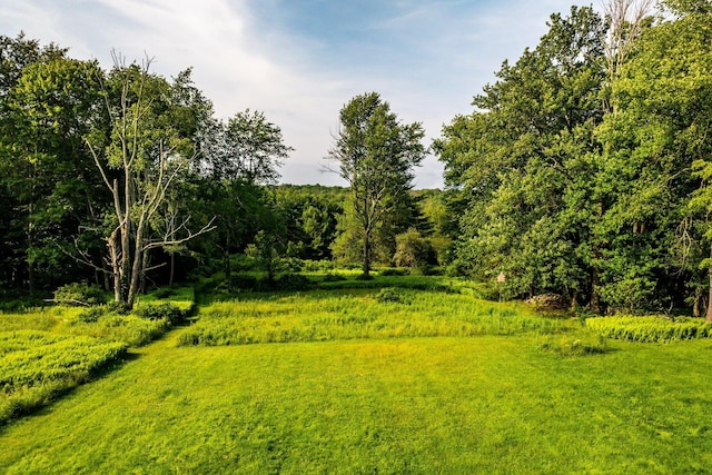 174 Dingle Daisy Rd, Monticello, NY 12701 - view of yard