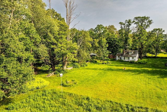 174 Dingle Daisy Rd, Monticello, NY 12701 - view of grassy yard