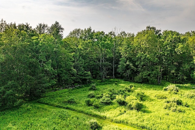 174 Dingle Daisy Rd, Monticello, NY 12701 - view of wooded area