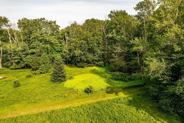 174 Dingle Daisy Rd, Monticello, NY 12701 - aerial view of a forest