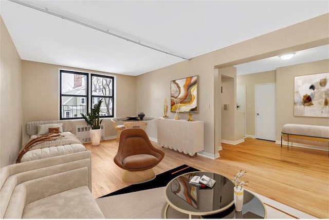 living room featuring hardwood / wood-style flooring