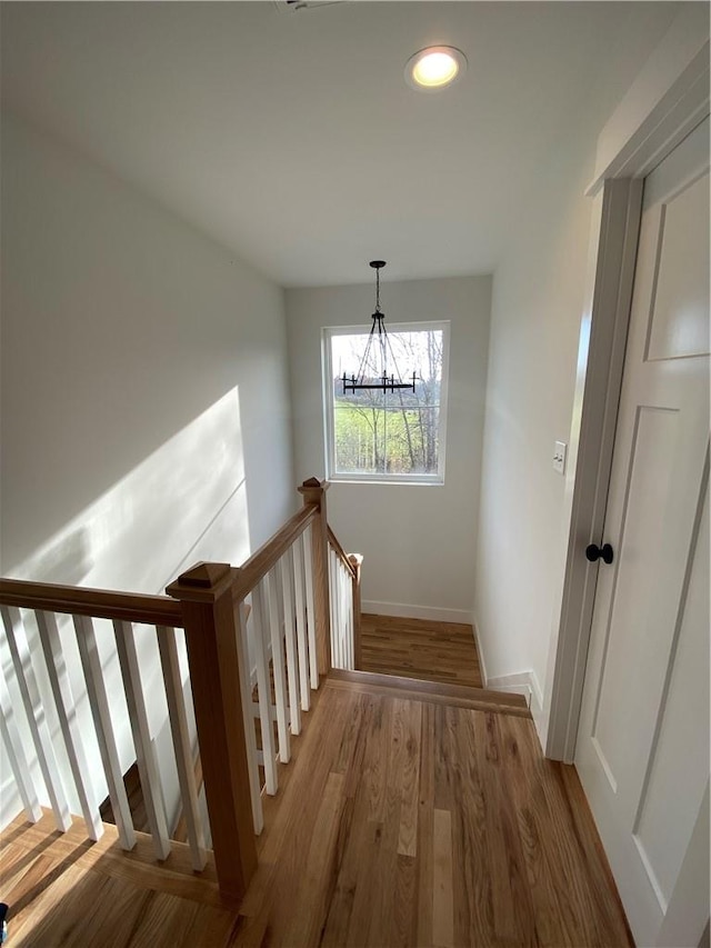 staircase with hardwood / wood-style floors and an inviting chandelier