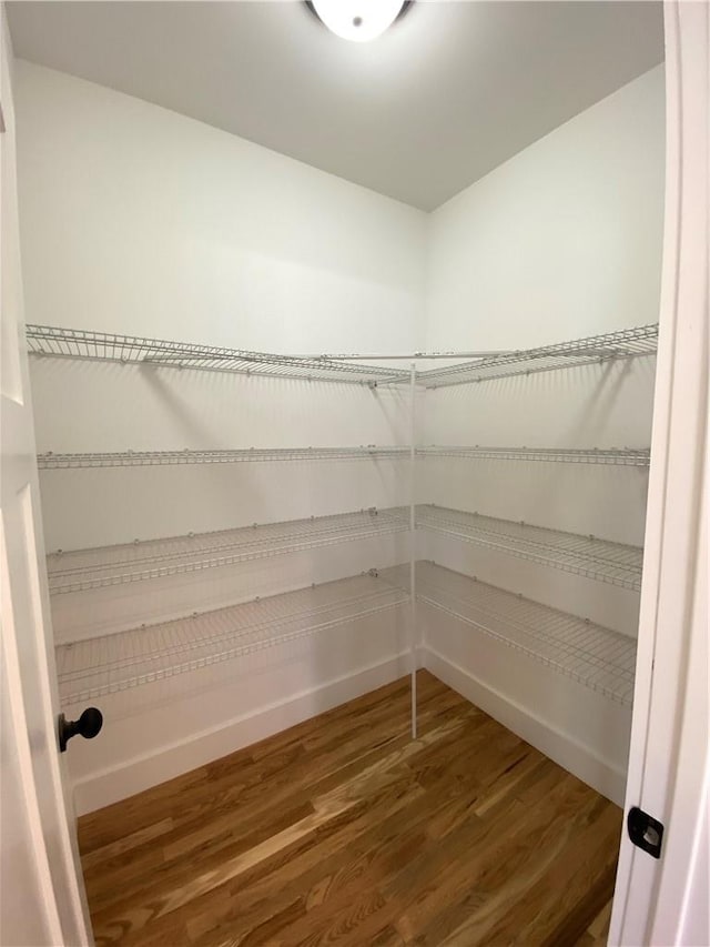 spacious closet with hardwood / wood-style flooring