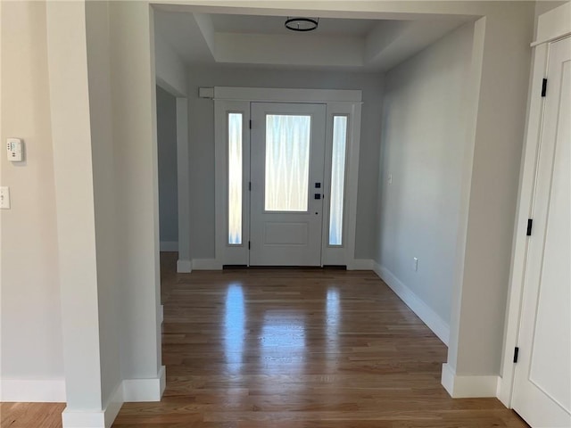 foyer entrance with hardwood / wood-style flooring and a raised ceiling