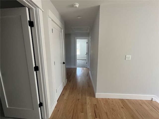 hall with light hardwood / wood-style flooring