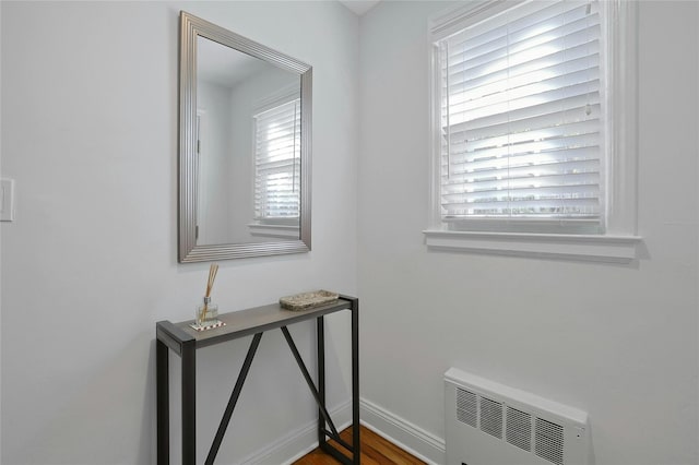 interior space with radiator