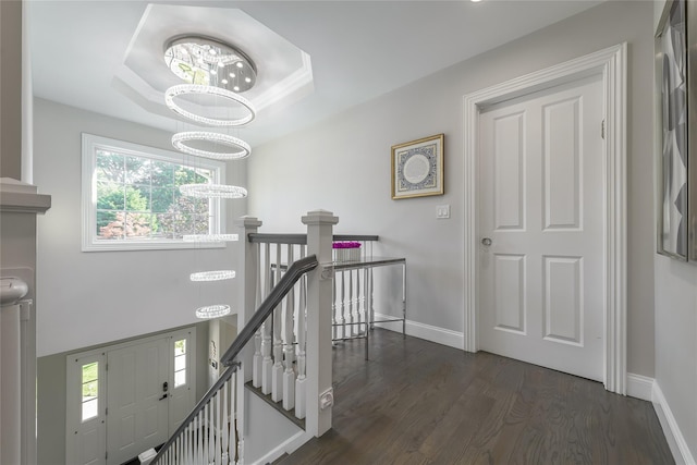 hallway featuring a tray ceiling, dark hardwood / wood-style floors, and an inviting chandelier