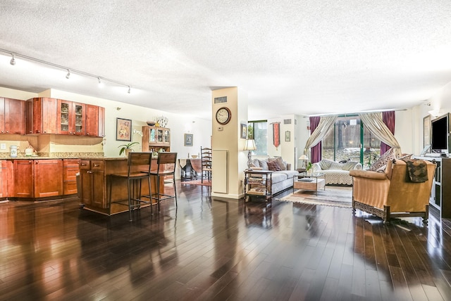 living room featuring dark hardwood / wood-style flooring, a textured ceiling, and track lighting