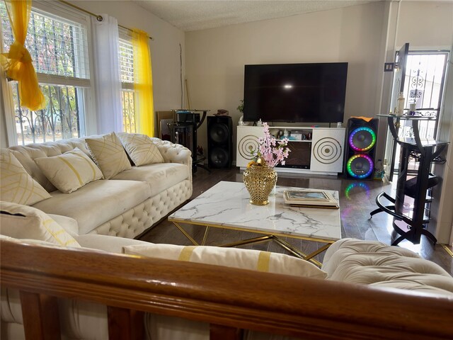 living room with hardwood / wood-style floors and a textured ceiling