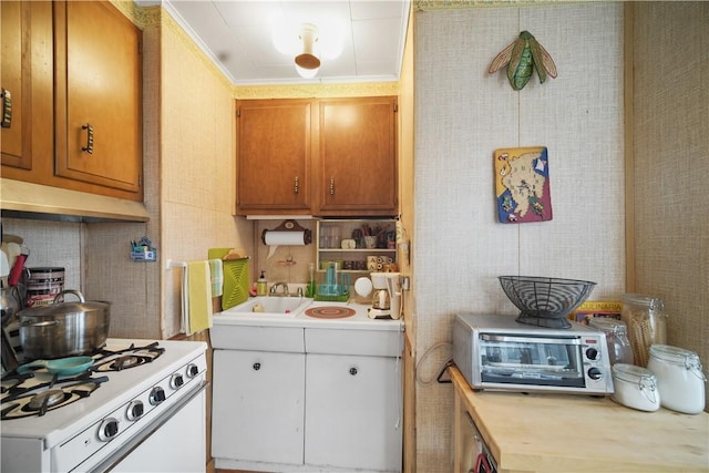 kitchen featuring sink, white gas stove, and ornamental molding