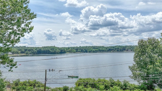 view of water feature