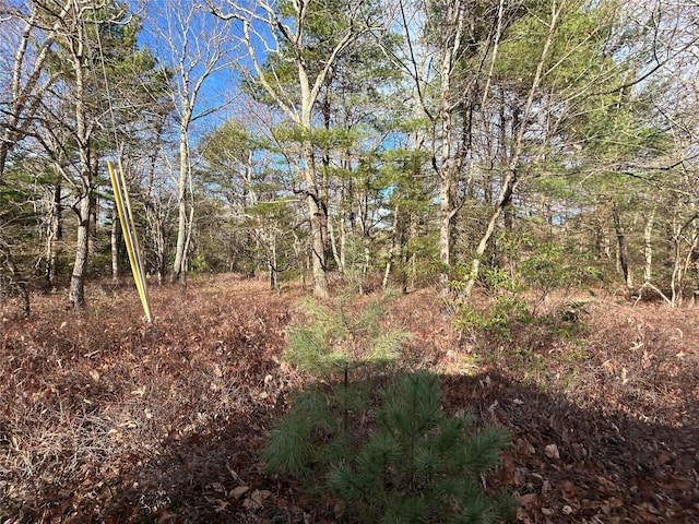 Listing photo 3 for LOT23.8 Kalin Weber Rd, Glen Spey NY 12737