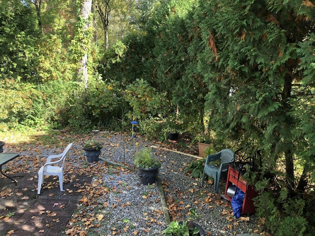 view of yard with a patio