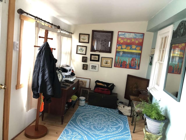 interior space with hardwood / wood-style floors and vaulted ceiling