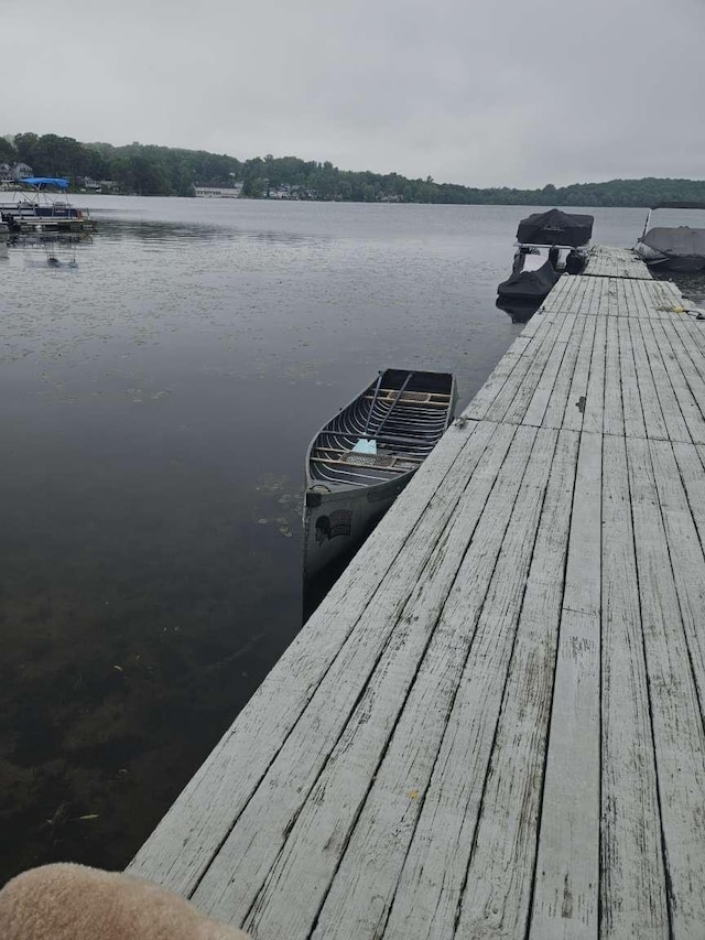 view of dock with a water view