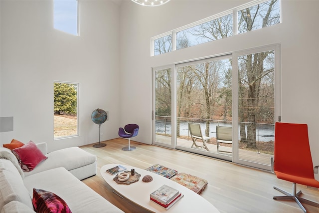 living room with wood-type flooring and a towering ceiling