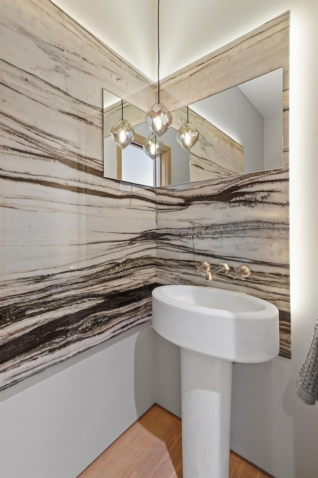 bathroom featuring wood-type flooring