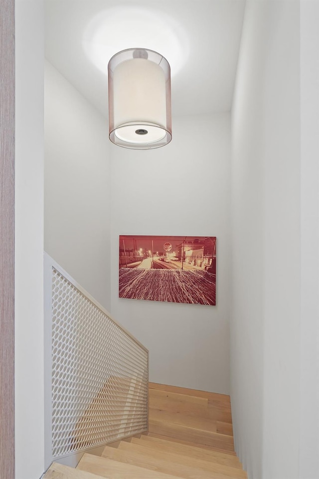 staircase featuring wood-type flooring