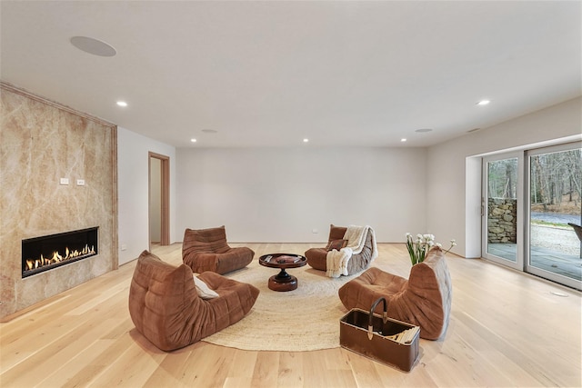 living room featuring a fireplace and light hardwood / wood-style flooring