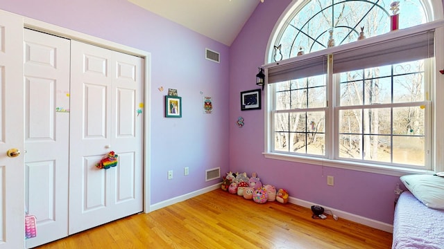 interior space with plenty of natural light, light hardwood / wood-style floors, and lofted ceiling