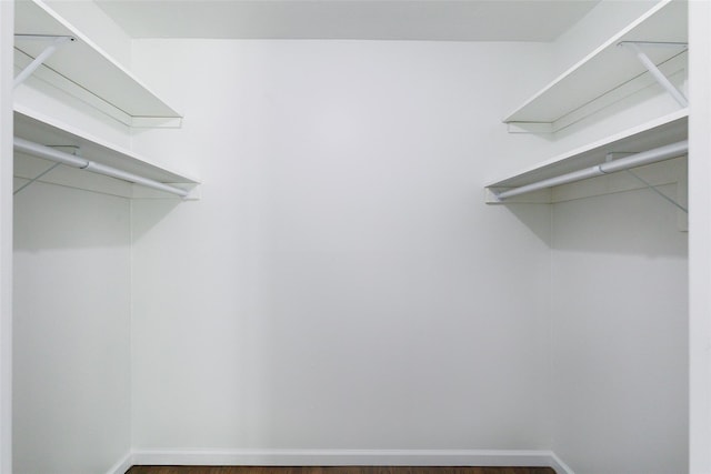 walk in closet featuring hardwood / wood-style floors