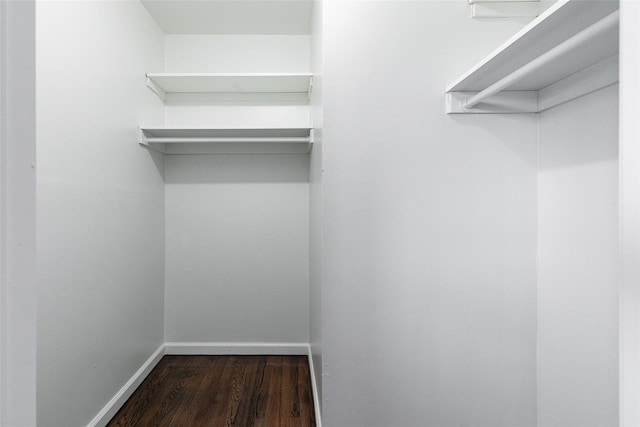 spacious closet with dark hardwood / wood-style floors