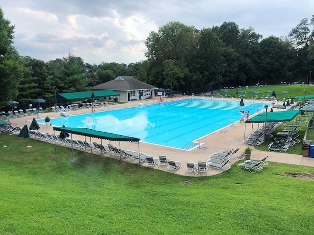 view of pool with a yard and a patio