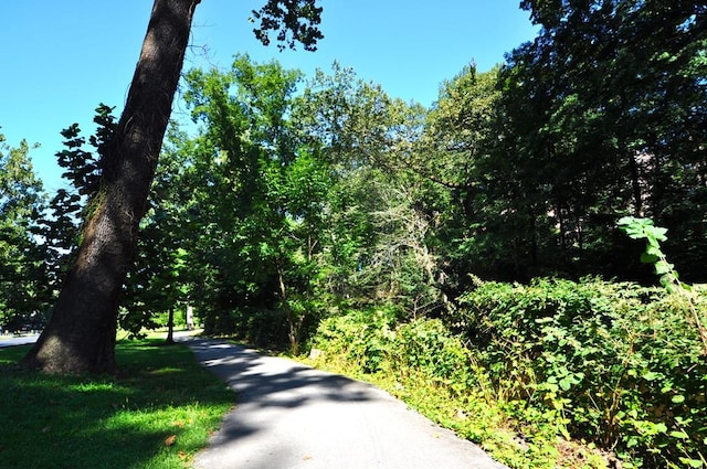 view of road