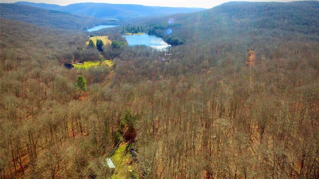 property view of mountains featuring a water view