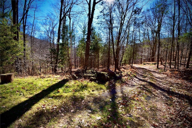 339 Mountain Lake Rd, Andes, NY 13731 - view of wooded area