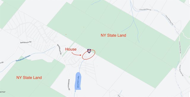 339 Mountain Lake Rd, Andes, NY 13731 - map / location