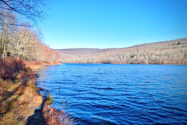 property view of water with a mountain view