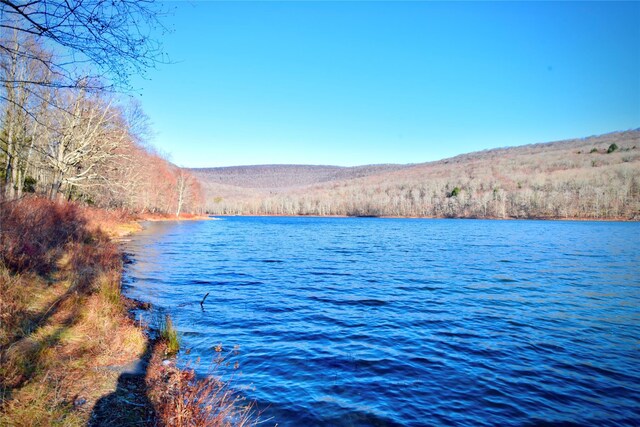 339 Mountain Lake Rd, Andes, NY 13731 - water view featuring a mountain backdrop