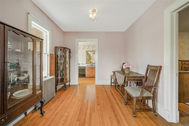 sitting room featuring radiator and light wood-type flooring