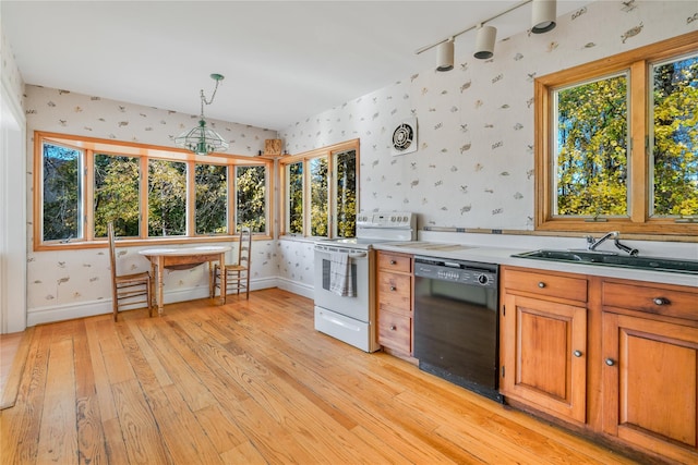 kitchen featuring pendant lighting, electric stove, sink, black dishwasher, and light hardwood / wood-style floors