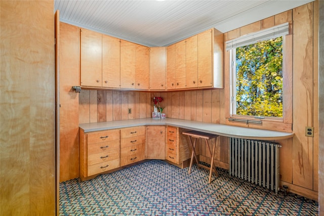 kitchen featuring radiator heating unit and wooden walls